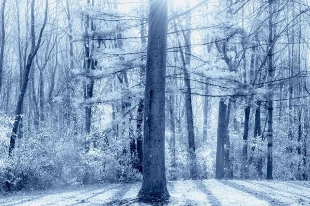 冬季外拍不容易，这些问题要注意