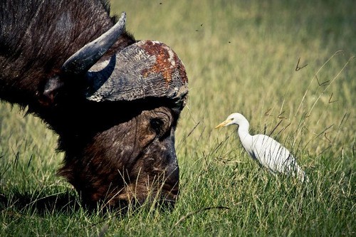 一生只能去一次的地方该带什么摄影器材 一生只能去一次的地方该带什么摄影器材