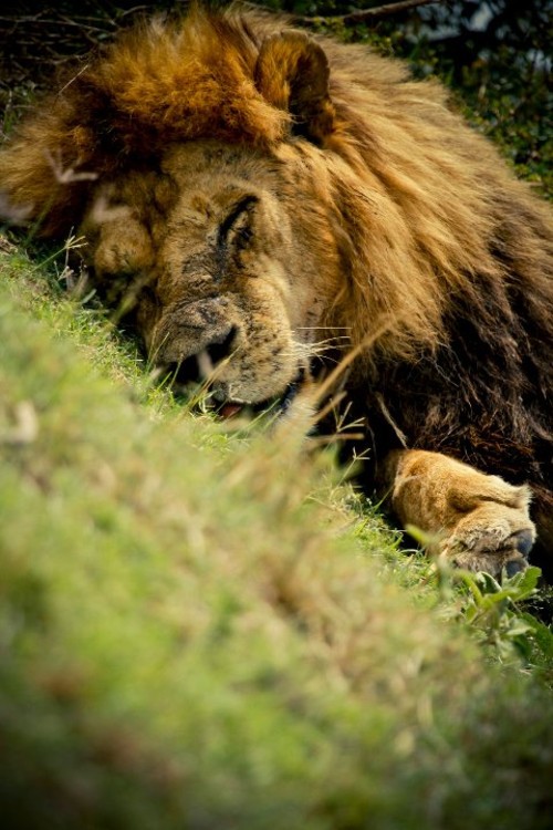 一生只能去一次的地方该带什么摄影器材 一生只能去一次的地方该带什么摄影器材