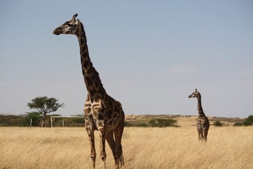 一生只能去一次的地方该带什么摄影器材 一生只能去一次的地方该带什么摄影器材