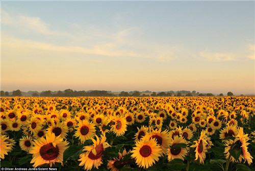 神童具摄影天赋 巧选景拍壮观唯美场面