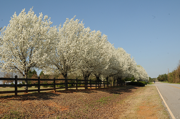 你的相机有入尘吗？可在PS里揭晓答案