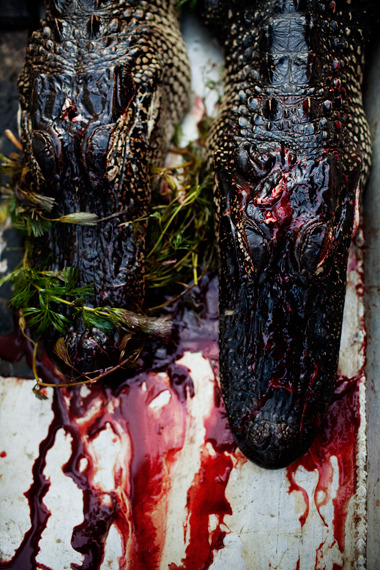 纪实摄影：鳄鱼河