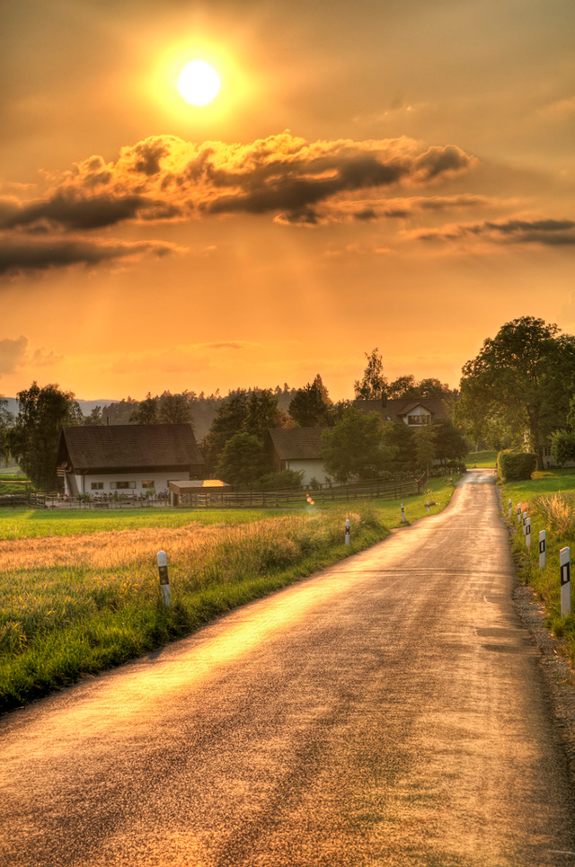 摄影：Tambako the Jaguar