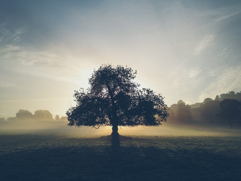 2013 Mobile Photography Awards