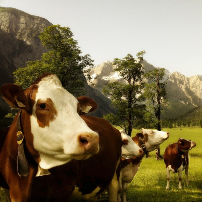 2013 Mobile Photography Awards