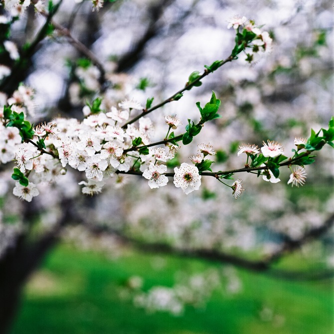 风光摄影：?；?/></a> </p>
<p class=