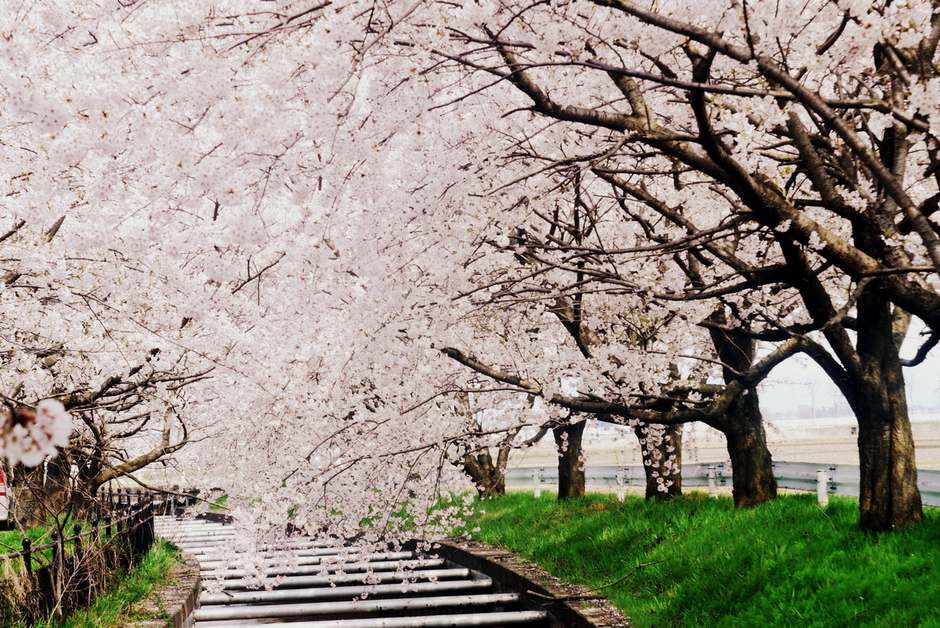 风光摄影：?；?/></a> </p>
<p class=