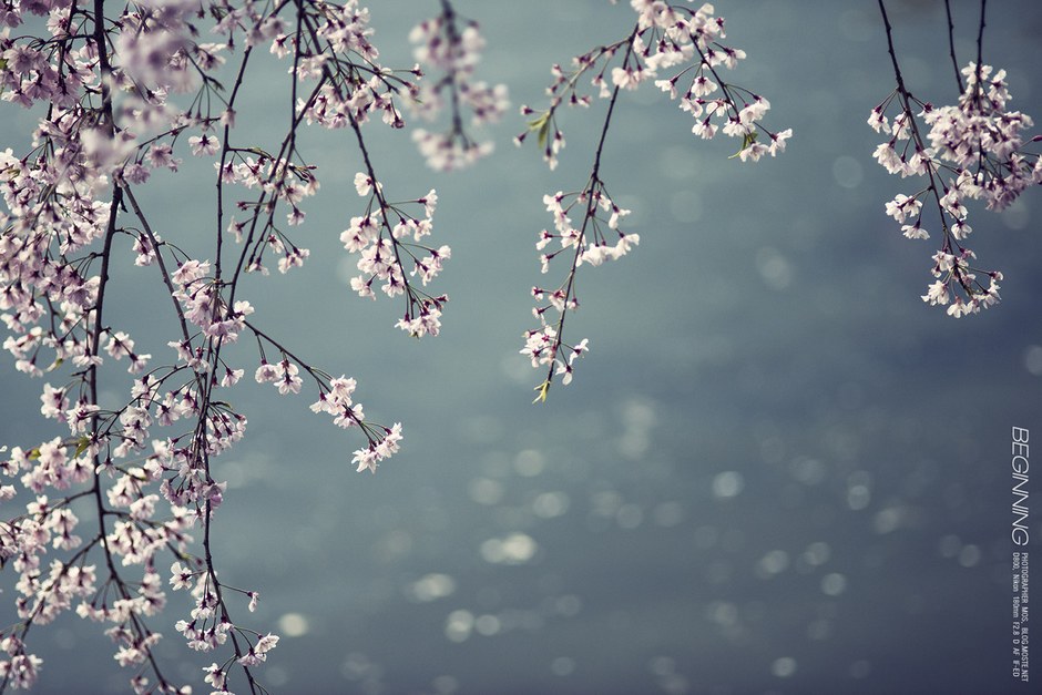 风光摄影：?；?/></a> </p>
<p class=