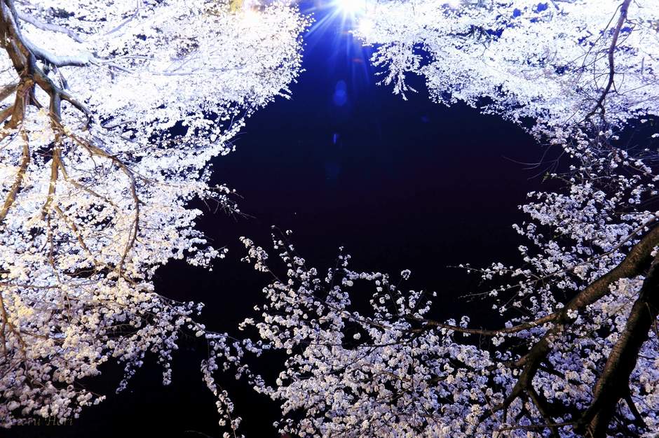 风光摄影：?；?/></a> </p>
<p class=