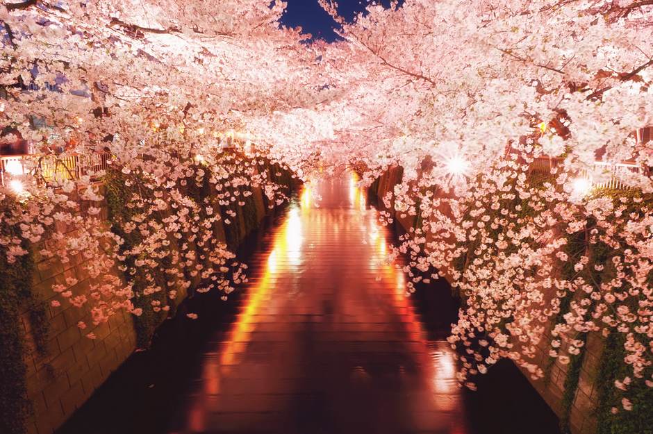 风光摄影：?；?/></a> </p>
<p class=