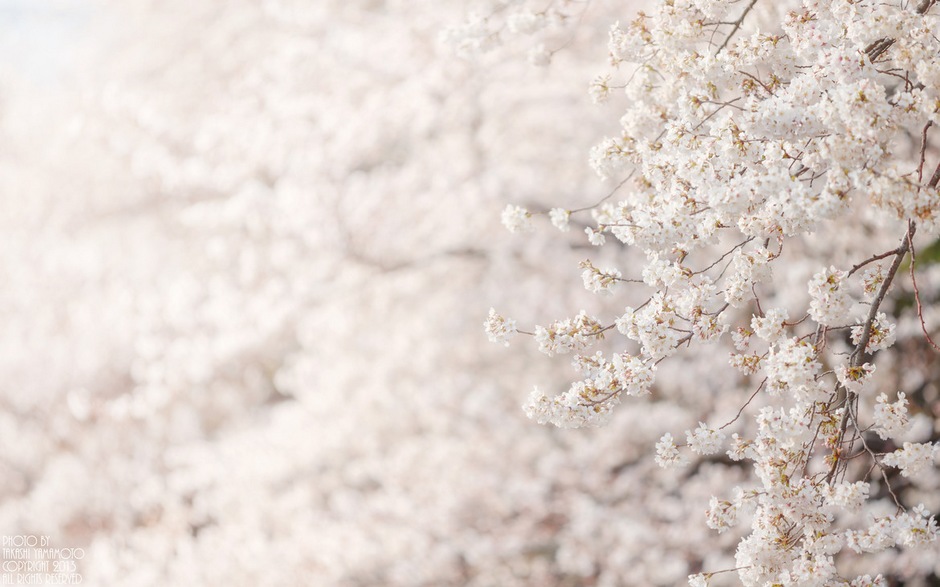 风光摄影：?；?/></a> </p>
<p class=