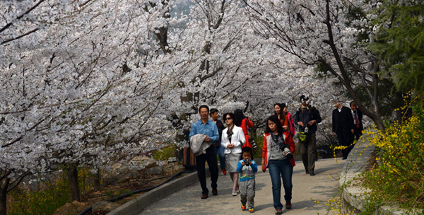 国家级摄影创作基地挂牌邹平?；ㄉ?/></a></p>
<p style=