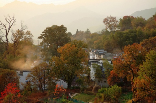 老段头，小头九，塔川秋色实在漂亮