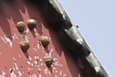 新锐超广角 佳能EF 16-35mm F4L评测