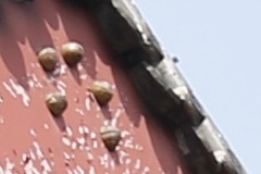 新锐超广角 佳能EF 16-35mm F4L评测