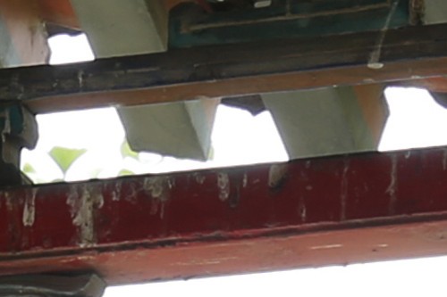 新锐超广角 佳能EF 16-35mm F4L评测