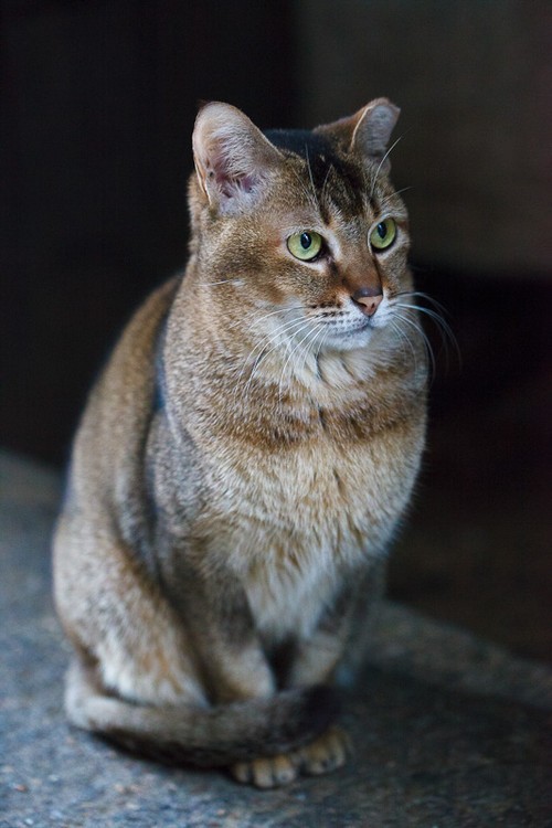 只有摄影人才关心的照片七件事