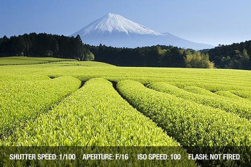 从零开始学摄影 曝光模式用法实战详解 从零开始学摄影 曝光模式用法实战详解