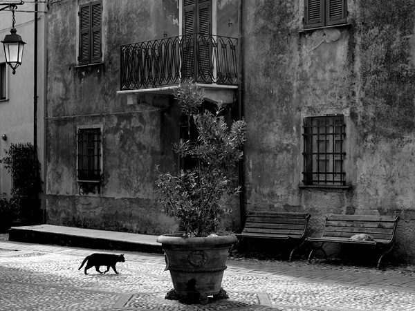 Emanuele Minetti街头摄影作品