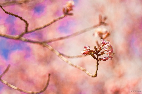 五个传统相机胜于手机的优点