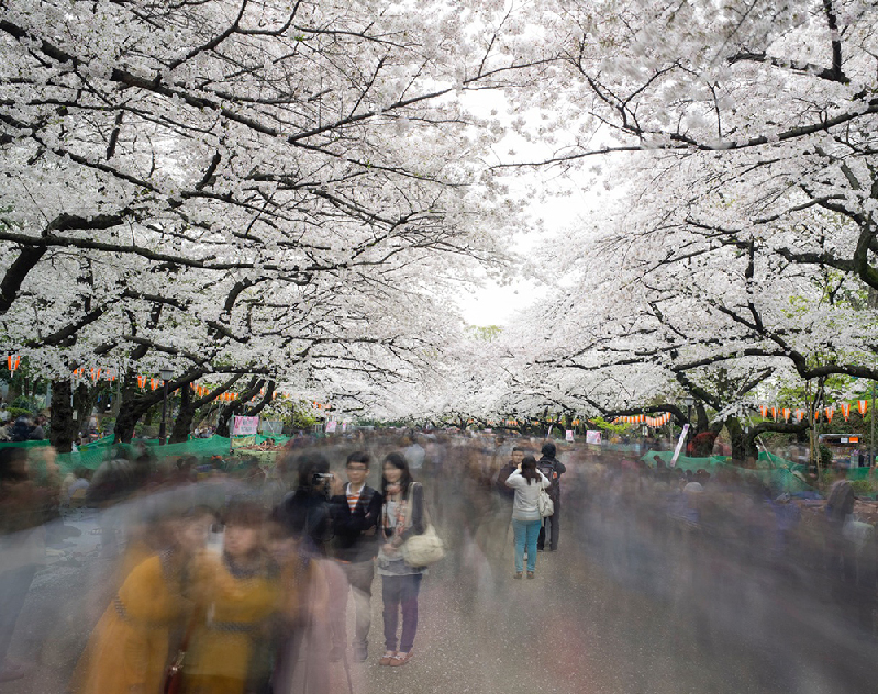 Matthew Pillsbury (8)
