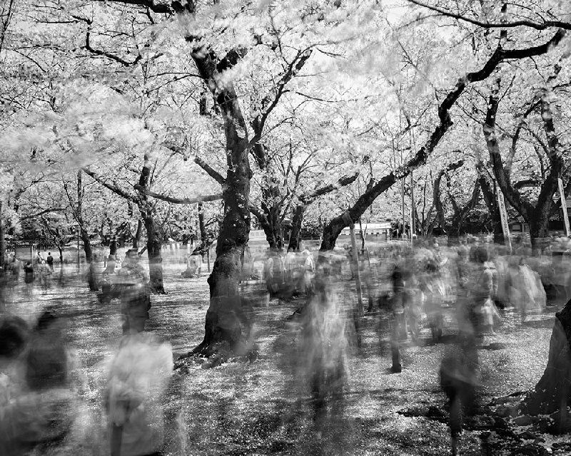 Matthew Pillsbury (2)