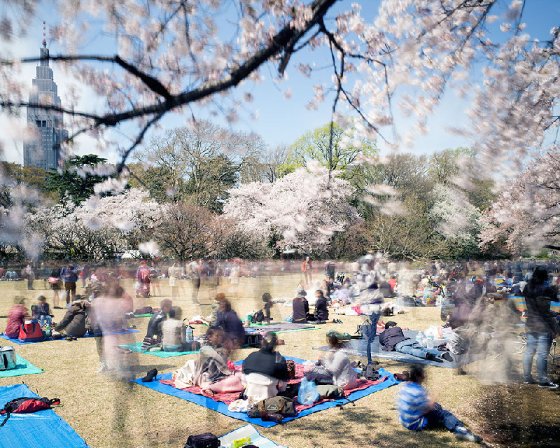 Matthew Pillsbury (17)