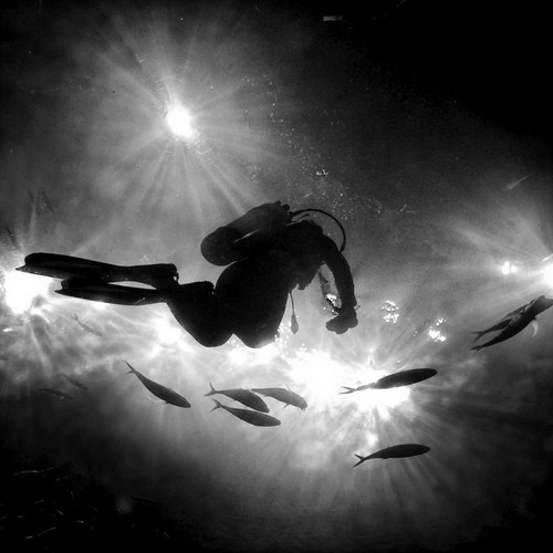 提高手机摄影质量 6个建议告诉您