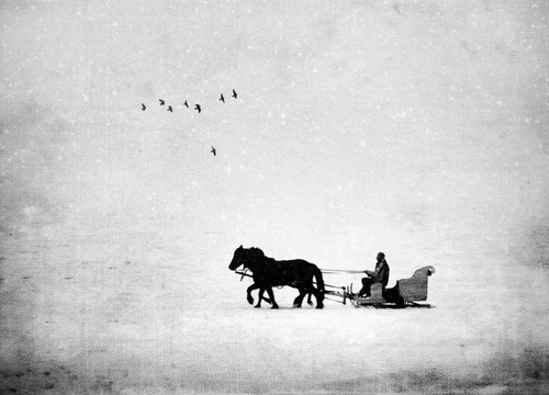 提高手机摄影质量 6个建议告诉您