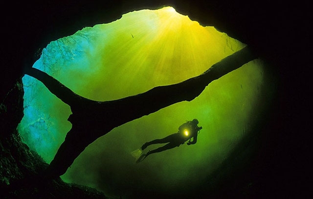 Franco Banfi:模拟鱼视角拍梦幻世界 73c6da43885df5fd.jpg