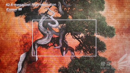 不止4240万像素 索尼A7RII现场上手体验 不止4240万像素 索尼A7RII现场上手体验