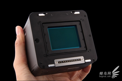 新的飞跃 飞思XF机身+IQ350后背实拍体验