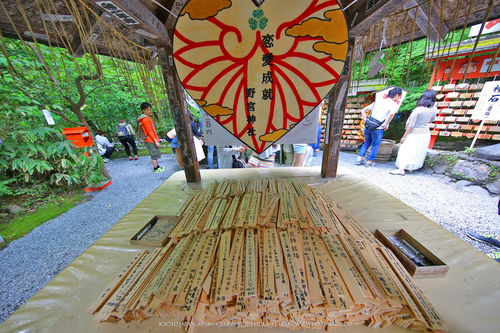 广无止境 佳能EF 11-24mm镜头试拍京都 佳能11-24试拍京都