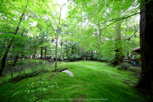 广无止境 佳能EF 11-24mm镜头试拍京都 佳能11-24试拍京都