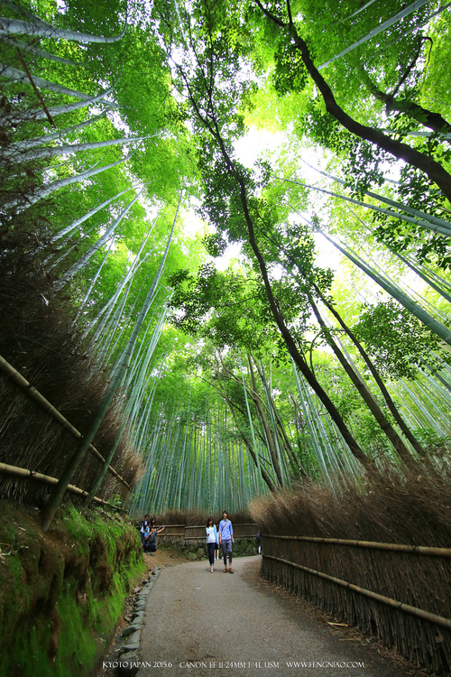 广无止境 佳能EF 11-24mm镜头试拍京都 佳能11-24试拍京都