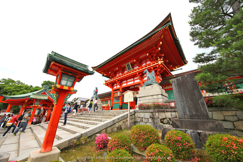 广无止境 佳能EF 11-24mm镜头试拍京都 佳能11-24试拍京都