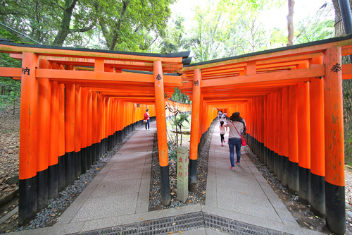 广无止境 佳能EF 11-24mm镜头试拍京都 佳能11-24试拍京都