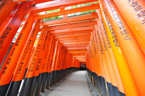 广无止境 佳能EF 11-24mm镜头试拍京都 佳能11-24试拍京都