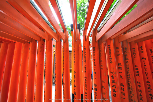 广无止境 佳能EF 11-24mm镜头试拍京都 佳能11-24试拍京都