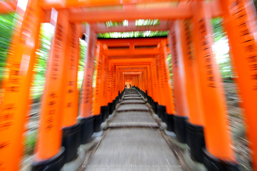 广无止境 佳能EF 11-24mm镜头试拍京都 佳能11-24试拍京都