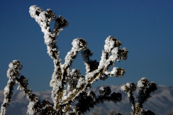 走近昭苏 感受“雪之恋”