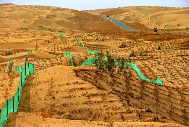 从上万幅摄影作品中脱颖而出！《绿化大漠不是梦》为何能获中国新闻奖？