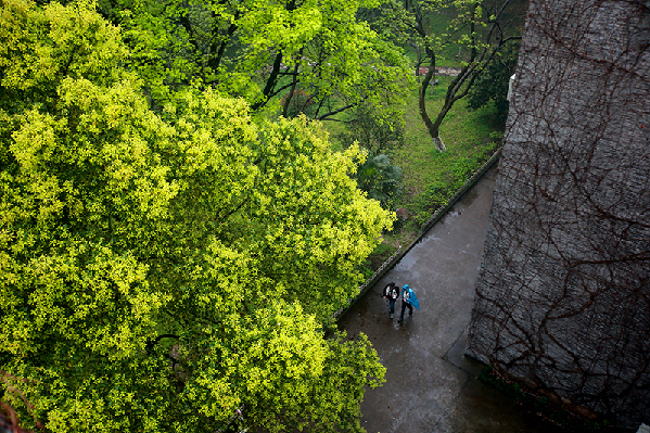 2017形象中国?百家媒体聚焦绿色衢州优秀摄影作品选登