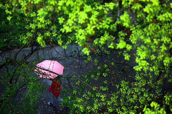 2017形象中国?百家媒体聚焦绿色衢州优秀摄影作品选登