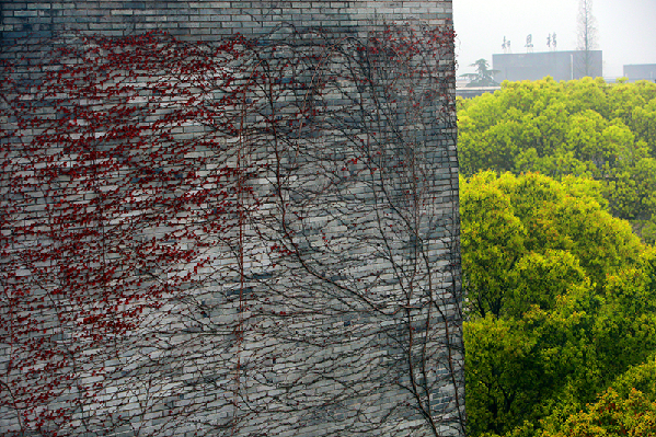 2017形象中国?百家媒体聚焦绿色衢州优秀摄影作品选登