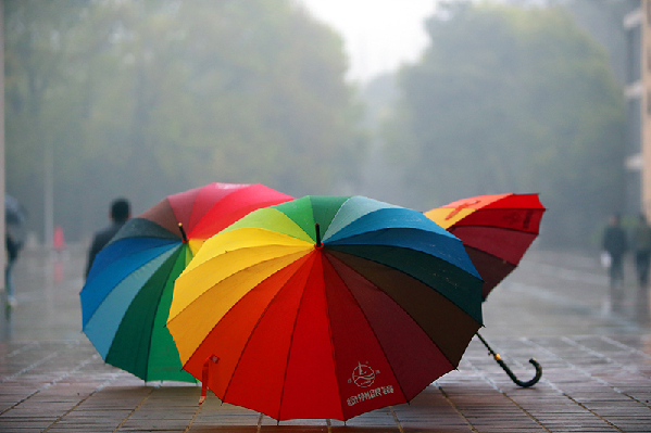 2017形象中国?百家媒体聚焦绿色衢州优秀摄影作品选登