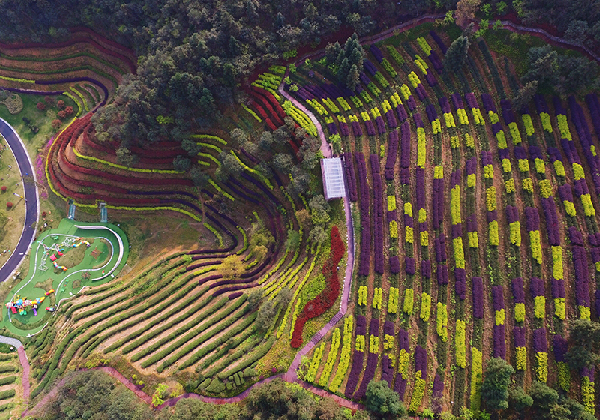 2017形象中国?百家媒体聚焦绿色衢州优秀摄影作品选登