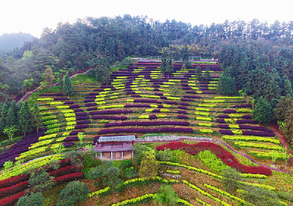 2017形象中国?百家媒体聚焦绿色衢州优秀摄影作品选登