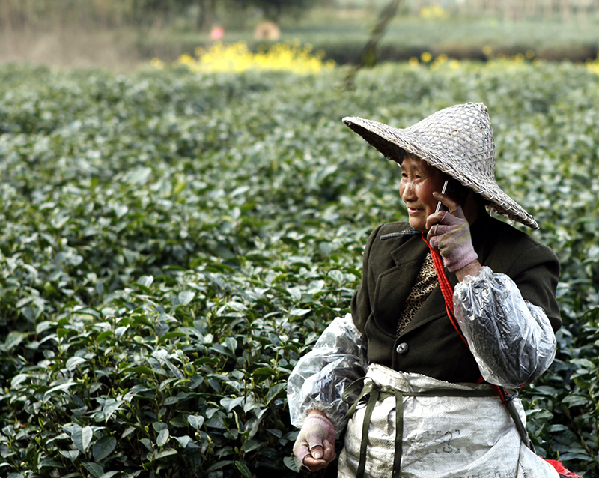 2017形象中国?百家媒体聚焦绿色衢州优秀摄影作品选登